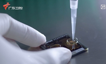 pp����(�й���)�ٷ���վ