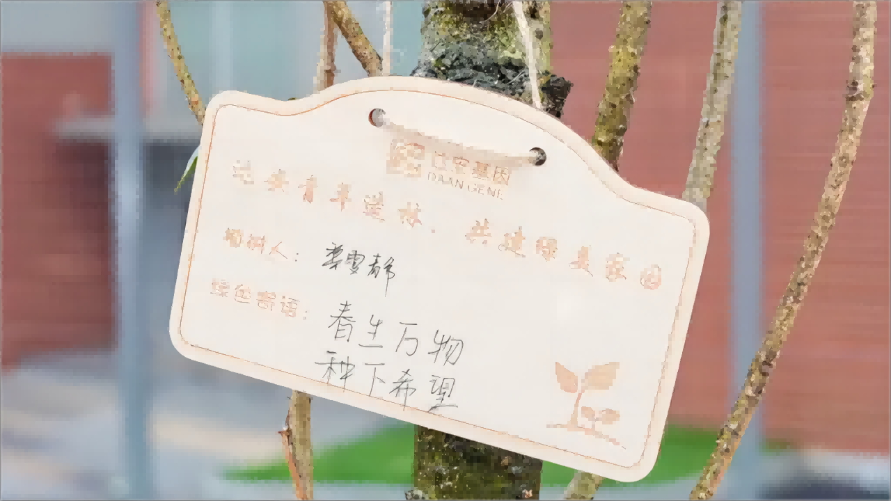 pp����(�й���)�ٷ���վ