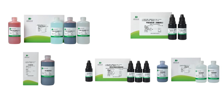 pp����(�й���)�ٷ���վ